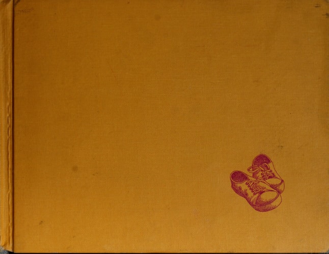 Alexander and the Terrible, Horrible, No Good, Very Bad Day