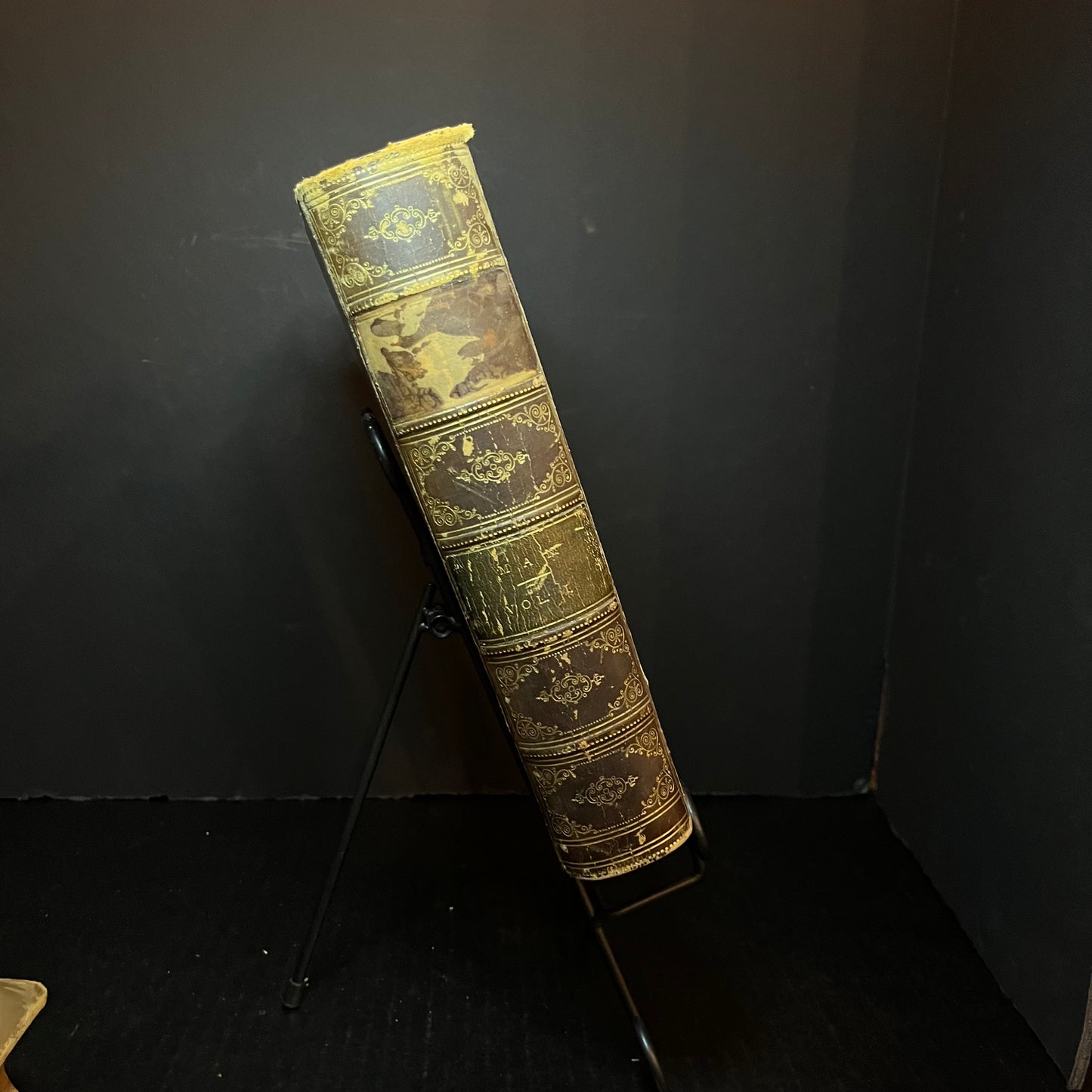The Natural History of Man - J. G. Wood - 2 Volumes - 1868