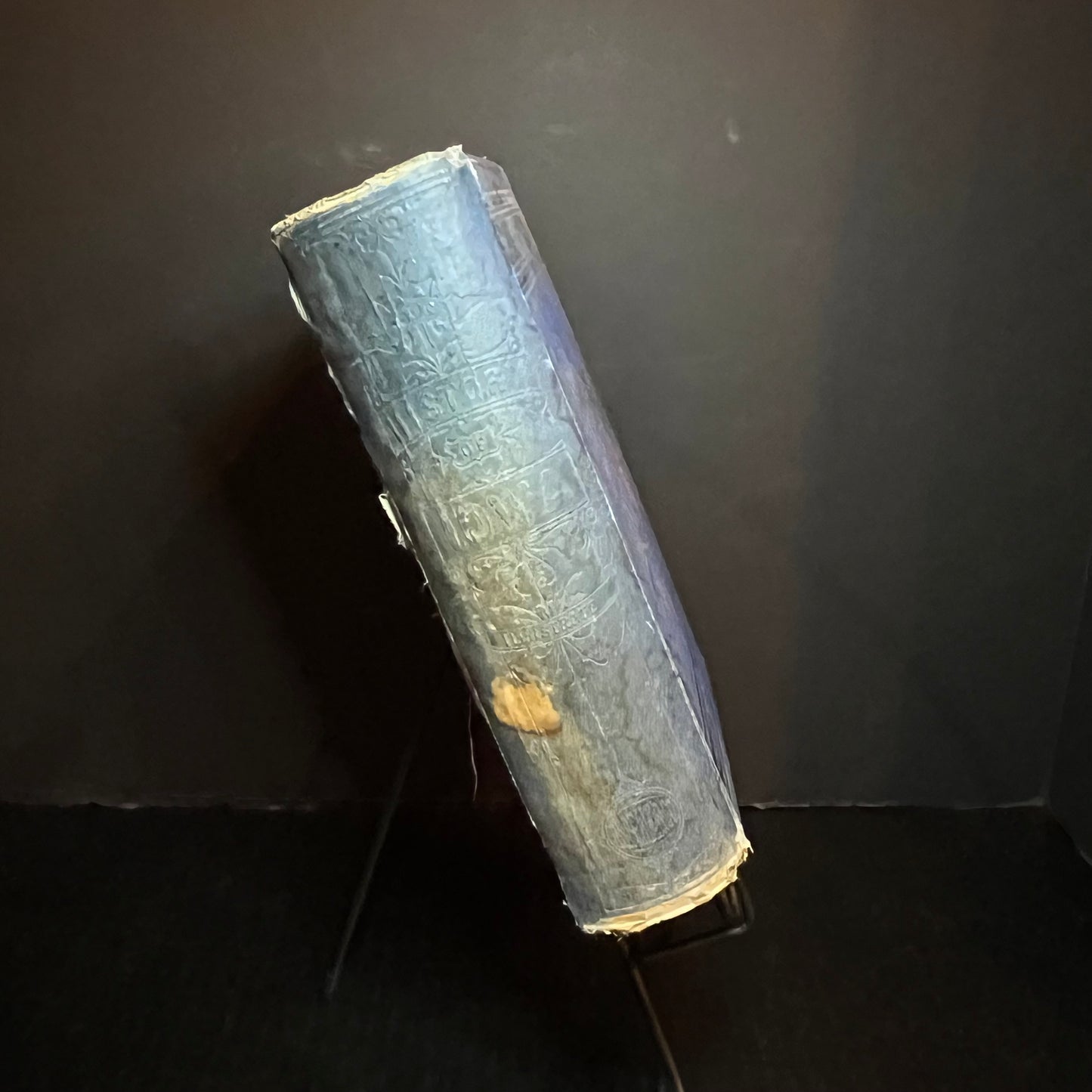 An Illustrated History of The State of Iowa - Charles R. Tuttle - 1876