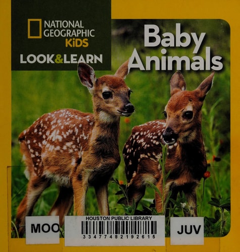 Baby Animals