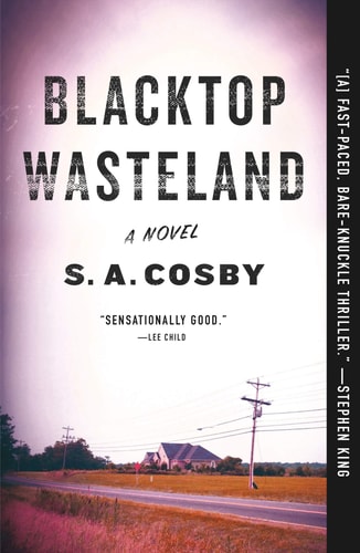 Blacktop Wasteland A Novel