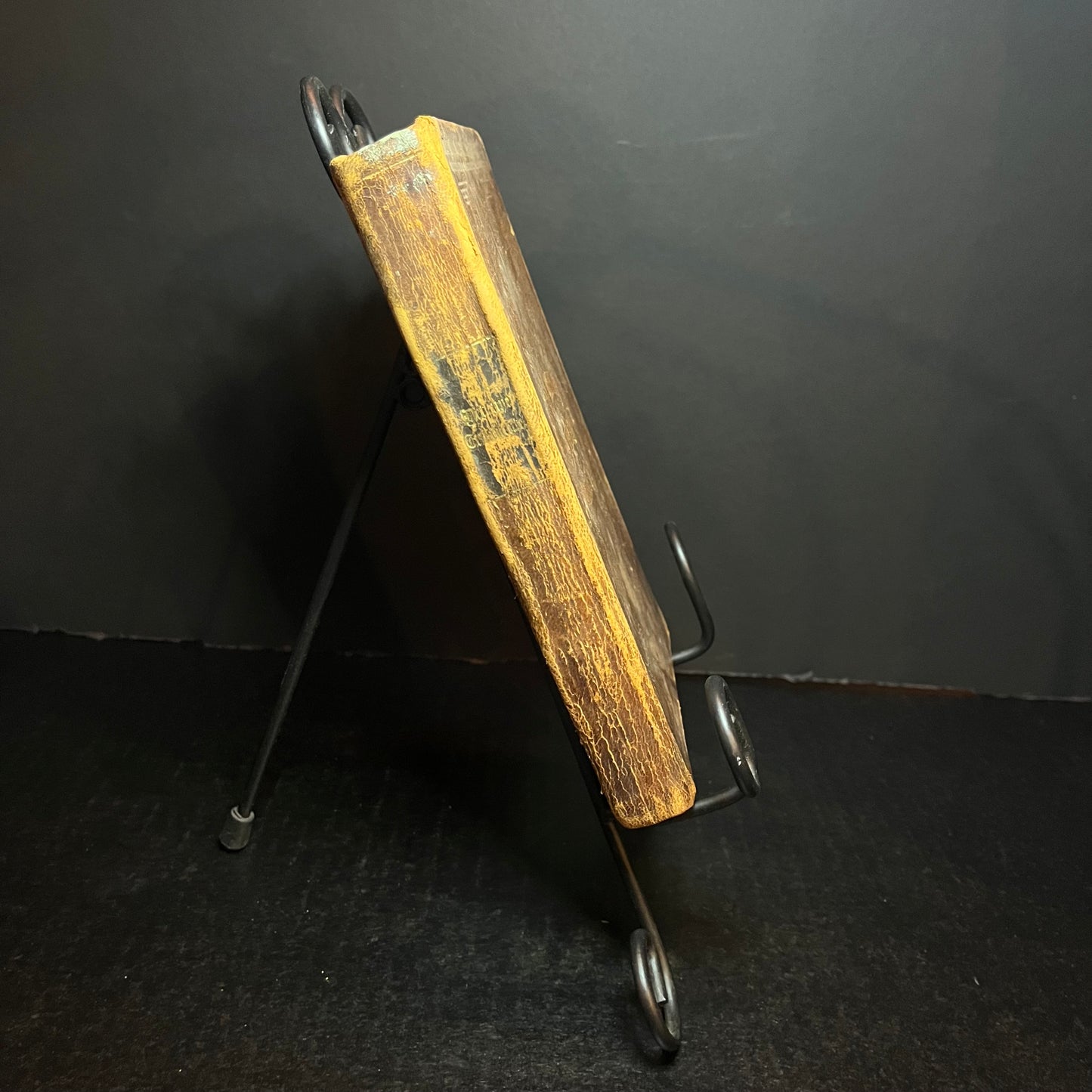 German Bible - 1868