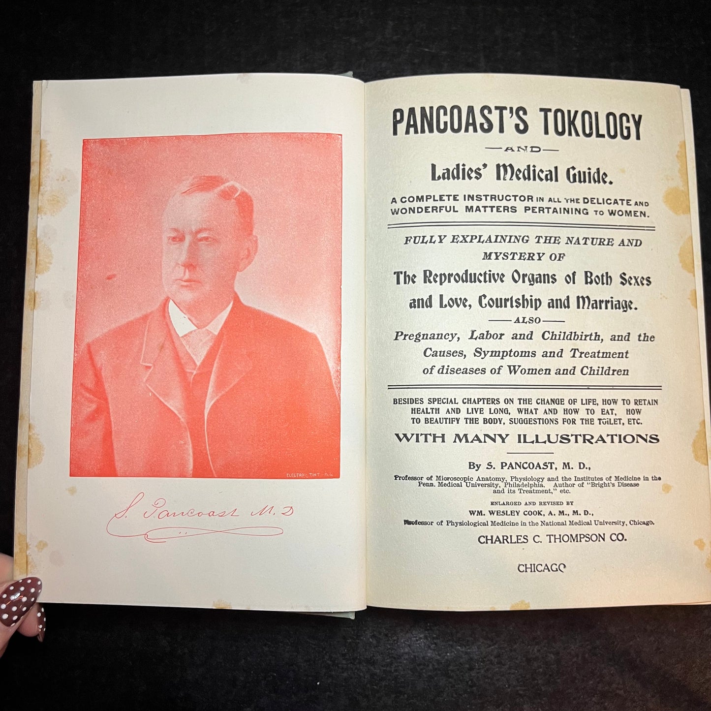 The Ladies' New Medical Guide - S. Pancoast M.D. - 1903