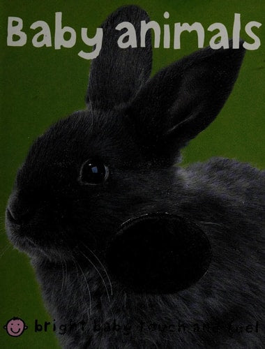 Bright Baby Touch & Feel Baby Animals
