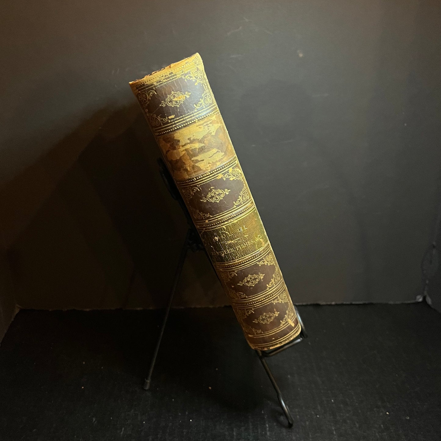 The Natural History of Man - J. G. Wood - 2 Volumes - 1868