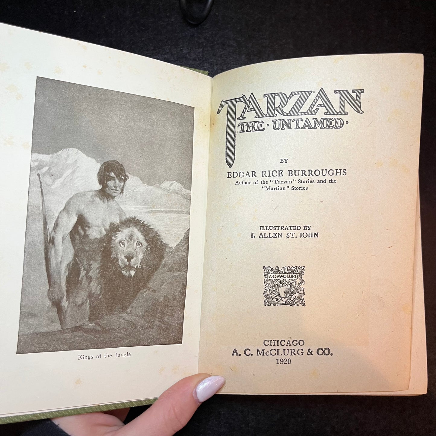 Tarzan the Untamed - Edgar Rice Burroughs - First Edition - 1920