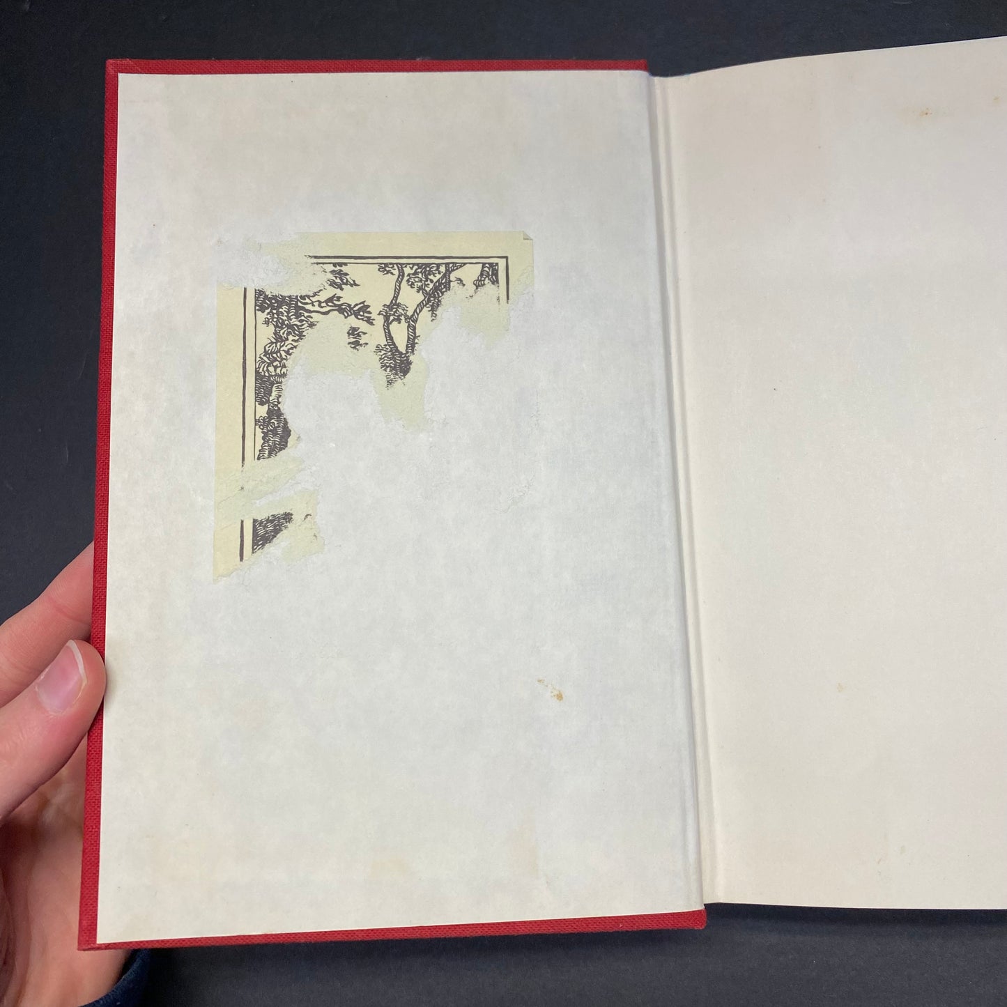 Rabbit Redux - John Updike - 1st Edition - 1971