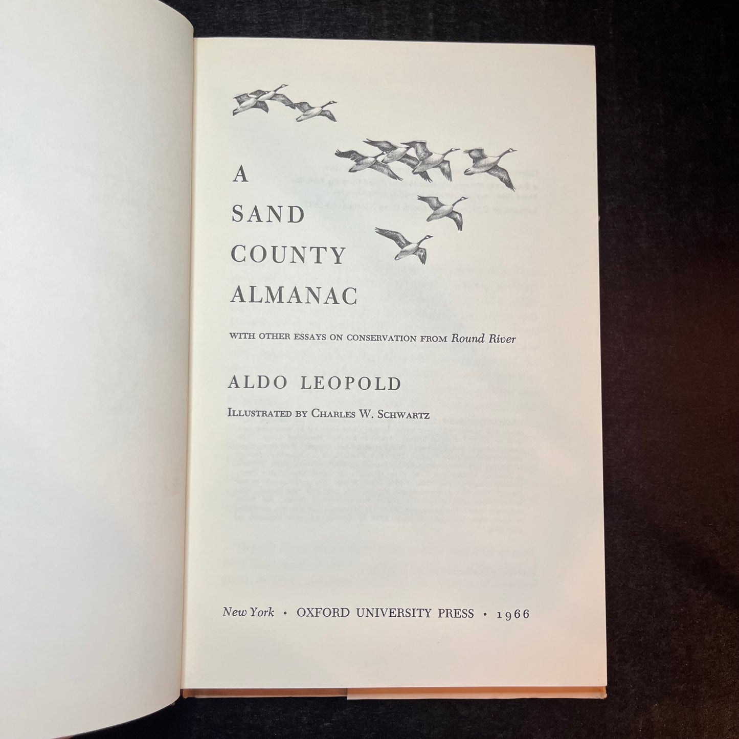 A Sand County Almanac - Aldo Leopold - 1st Thurs Edition - 1966