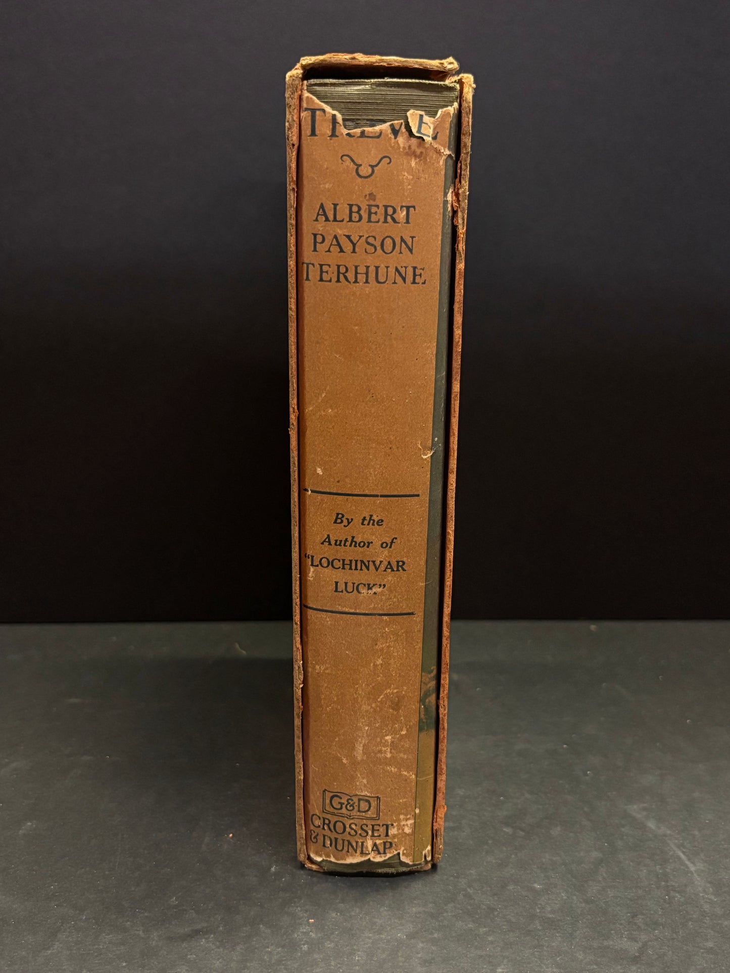 Treve - Albert Payson Terhune - 1924