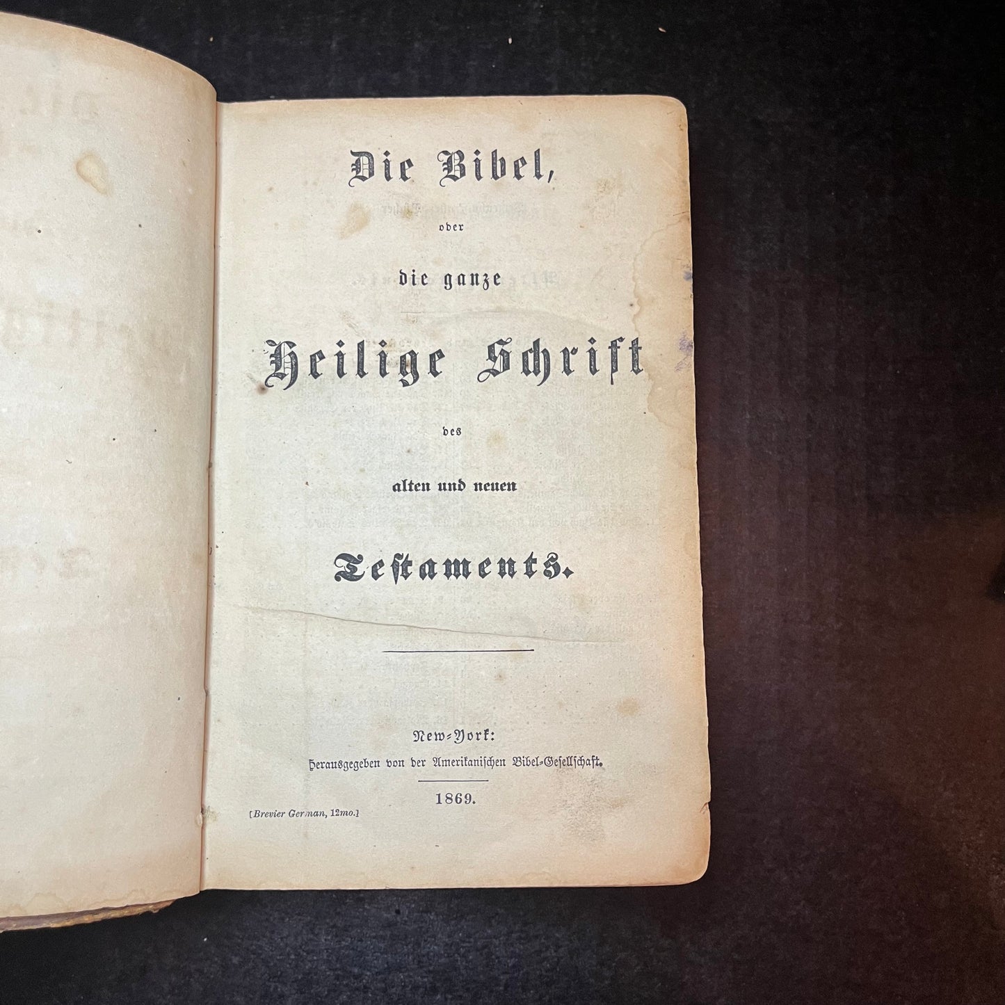 Martin Luther Bible - Translated by Martin Luther - 1869