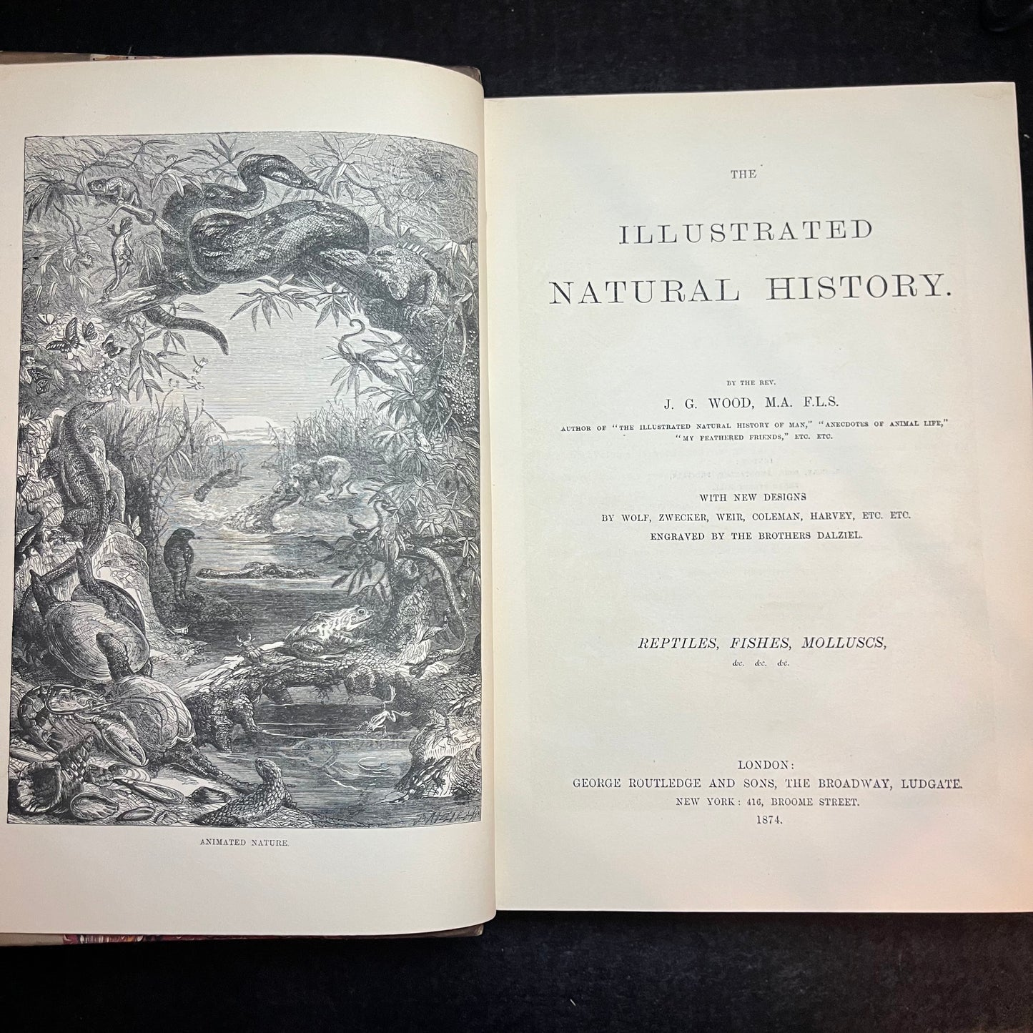 The Natural History of Man - J. G. Wood - 2 Volumes - 1868