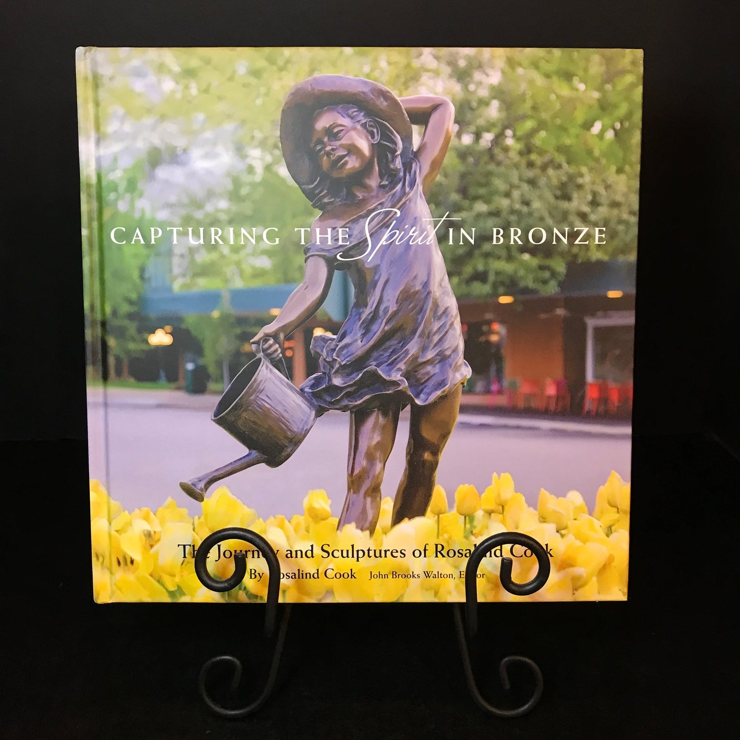 Capturing the Spirit in Bronze - Rosalind Cook - Signed - 2014