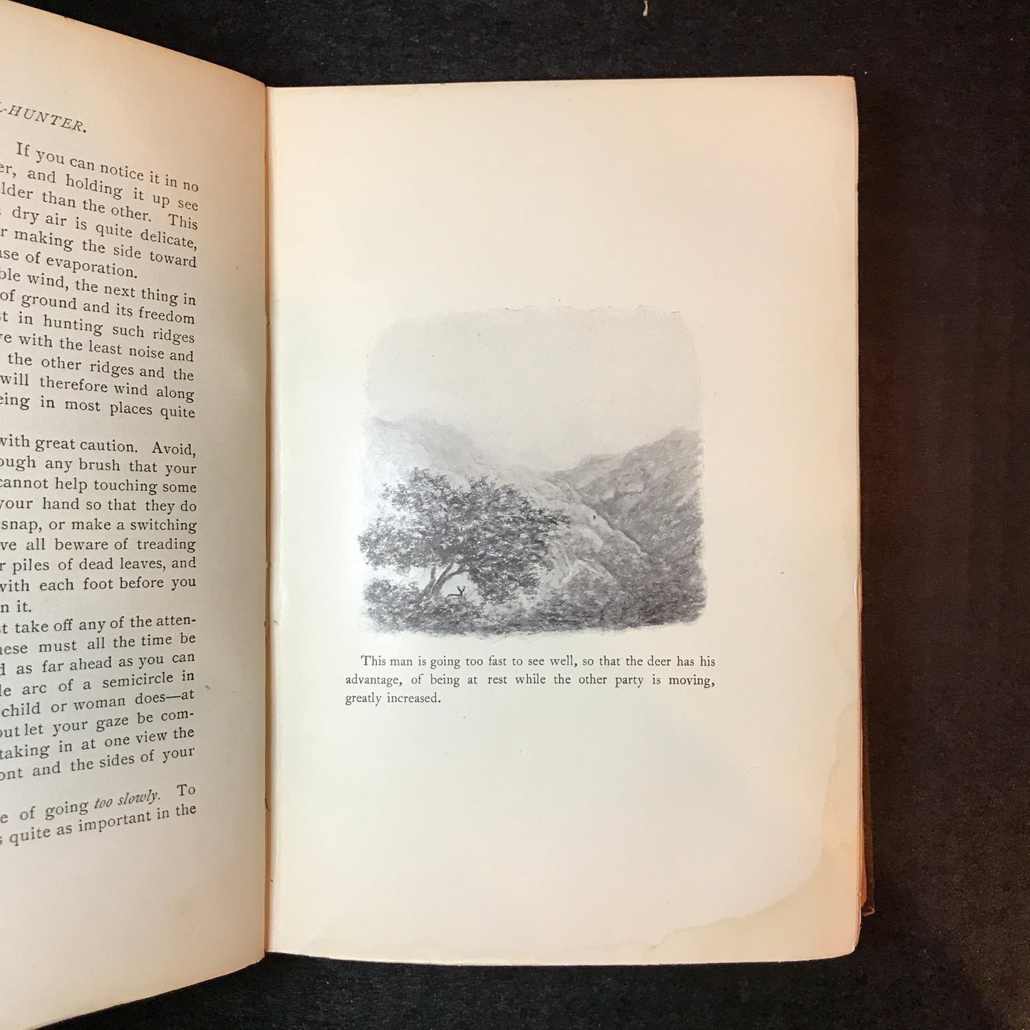 The Still-Hunter - Theodore S. Van Dyke - Illustrated - 1904