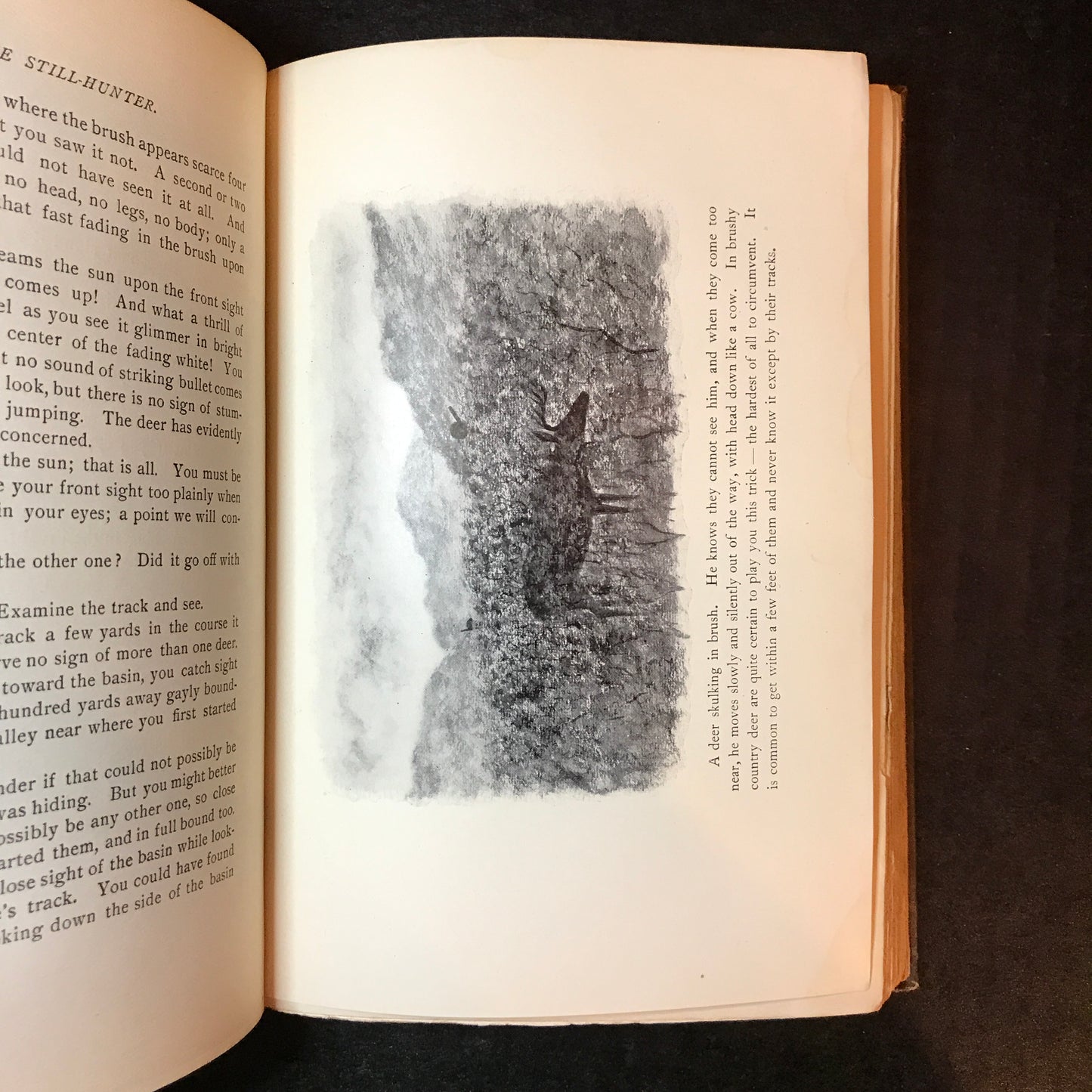 The Still-Hunter - Theodore S. Van Dyke - Illustrated - 1904