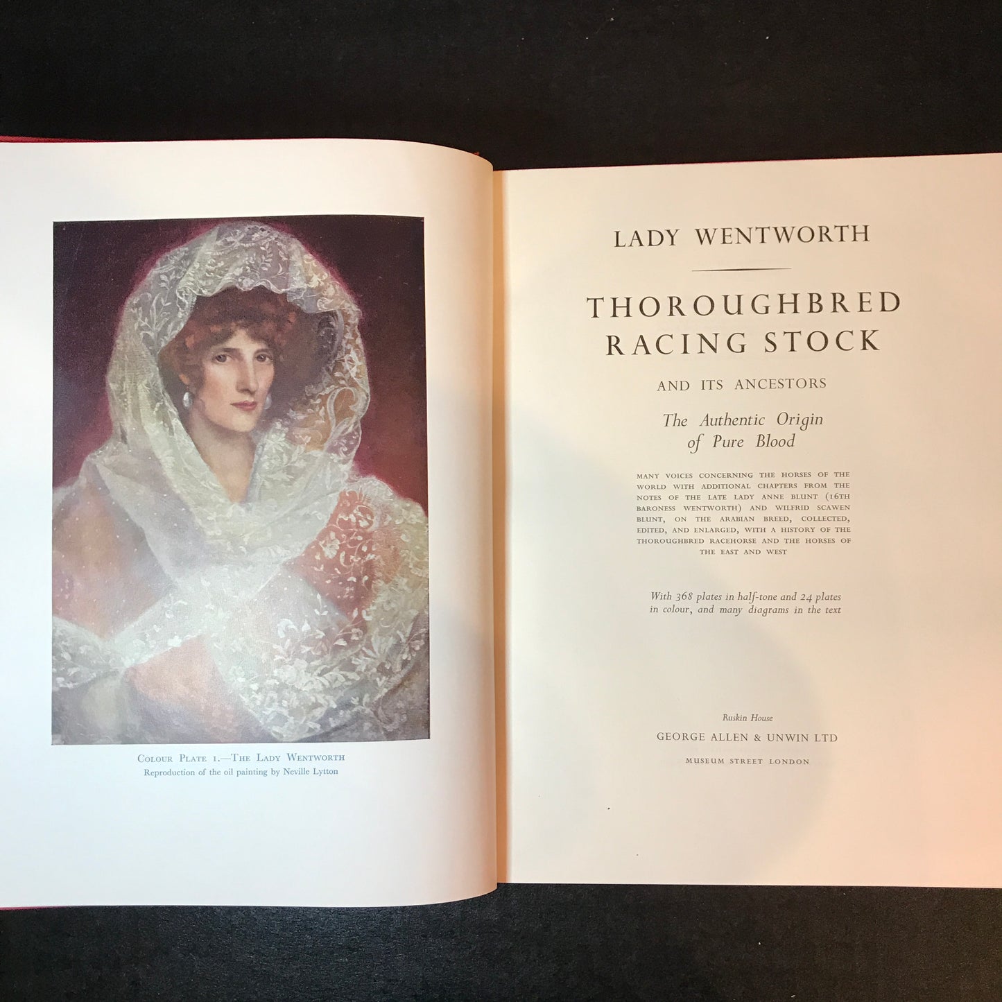 Thoroughbred Racing Stock - Lady Wentworth - 1960