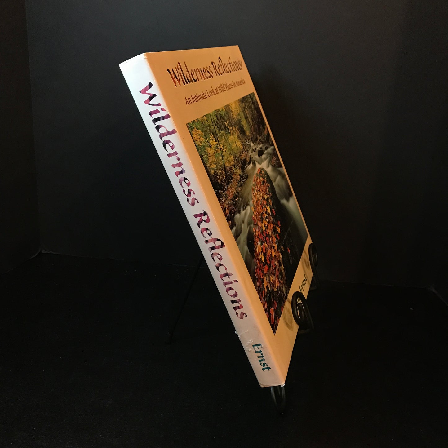 Wilderness Reflections - Tim Ernst - Signed - 1996