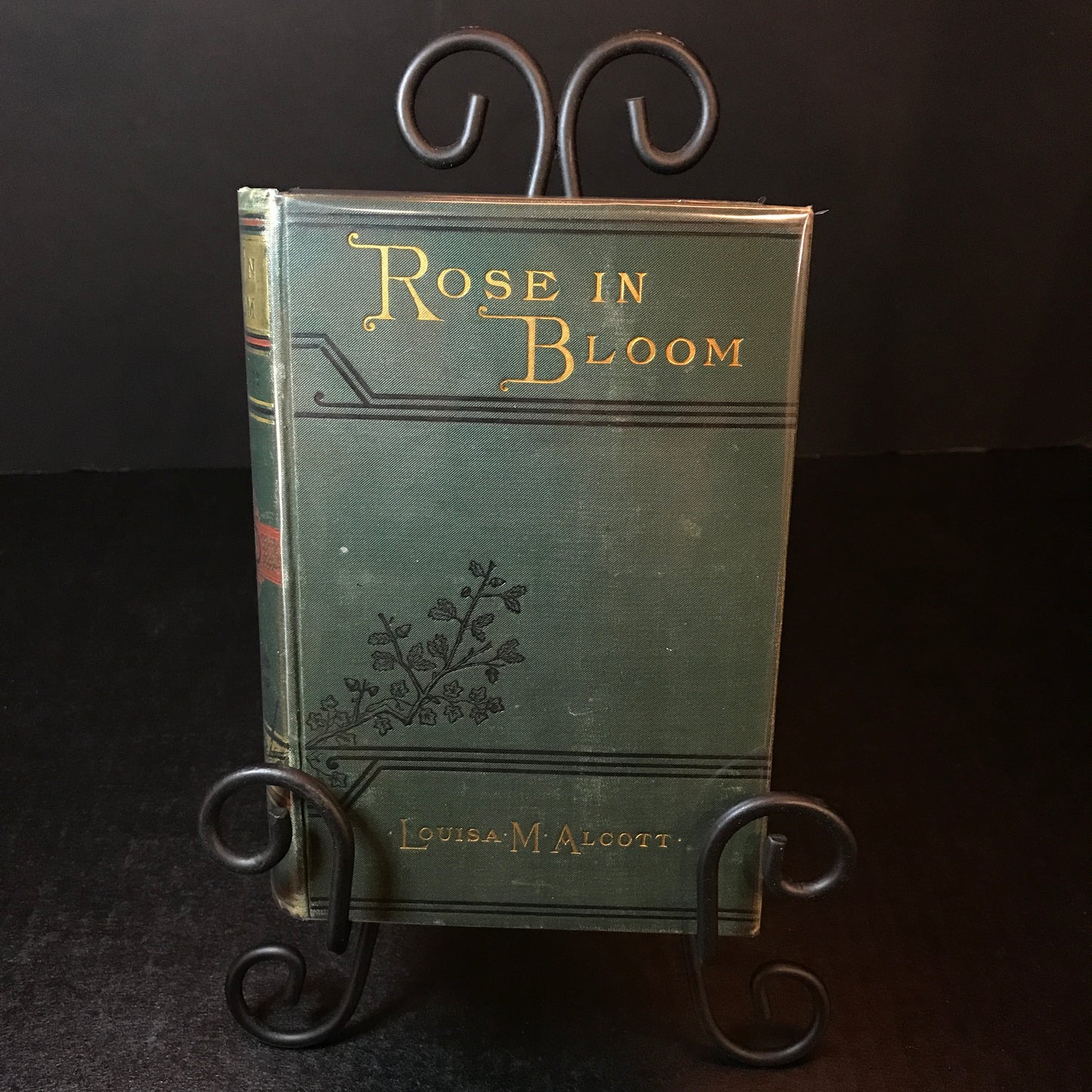 Rose In Bloom - Louisa M. Alcott - 1884