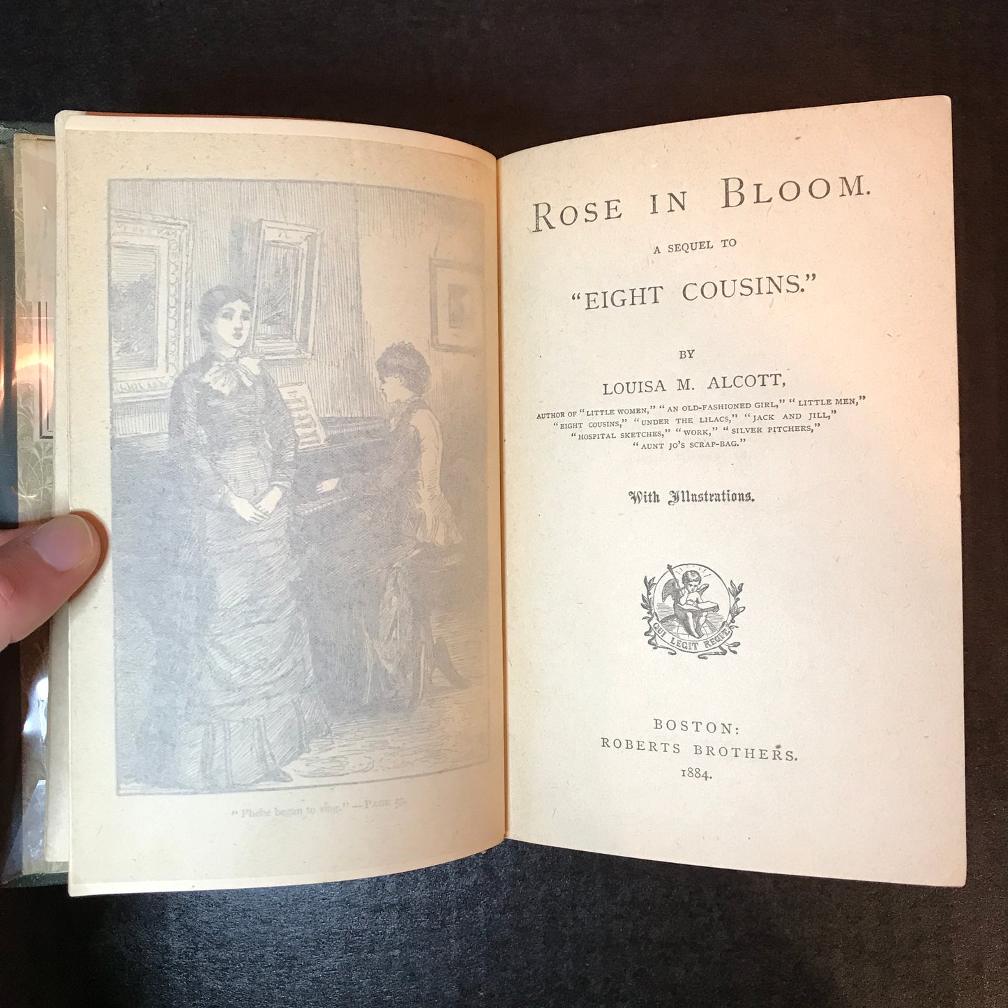 Rose In Bloom - Louisa M. Alcott - 1884