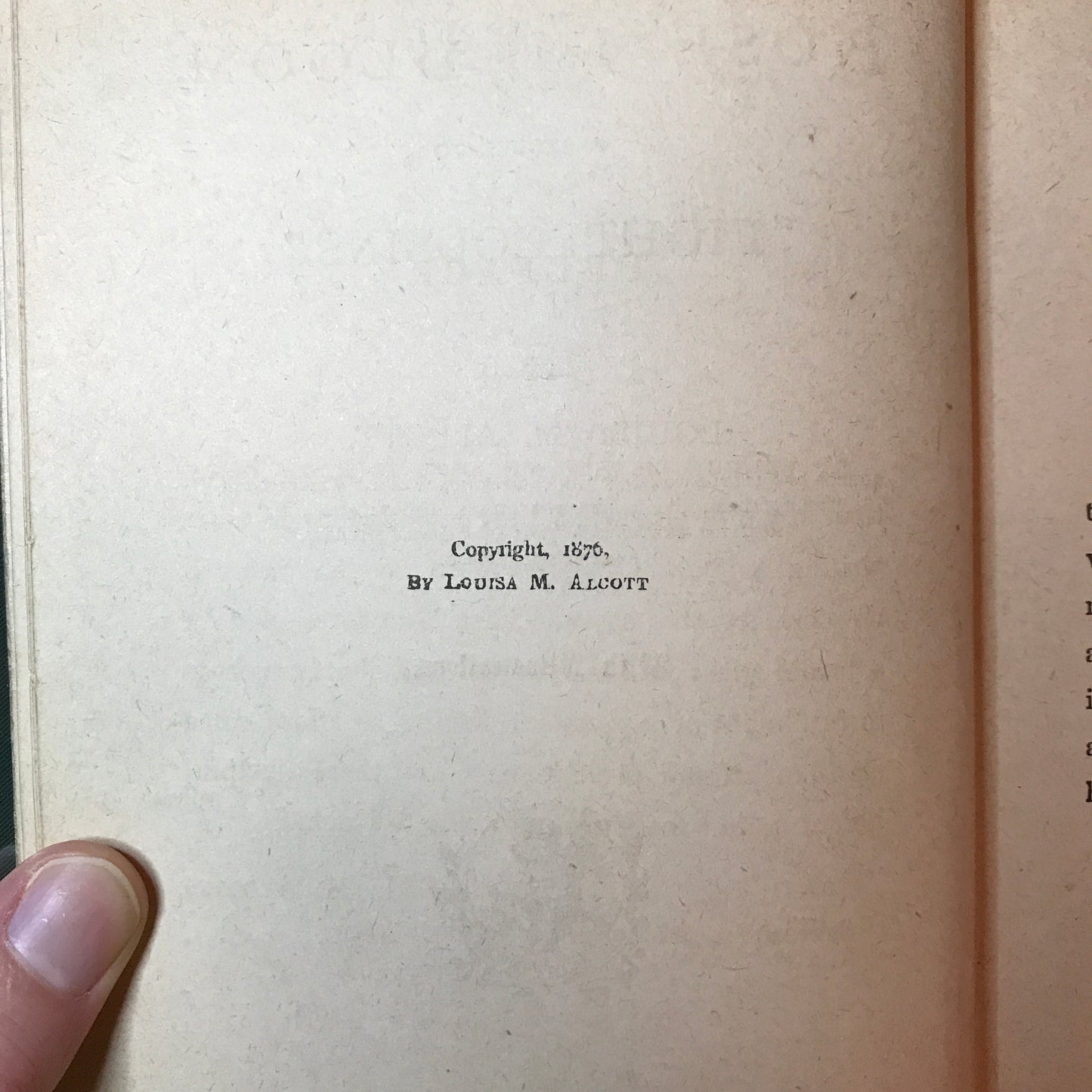 Rose In Bloom - Louisa M. Alcott - 1884