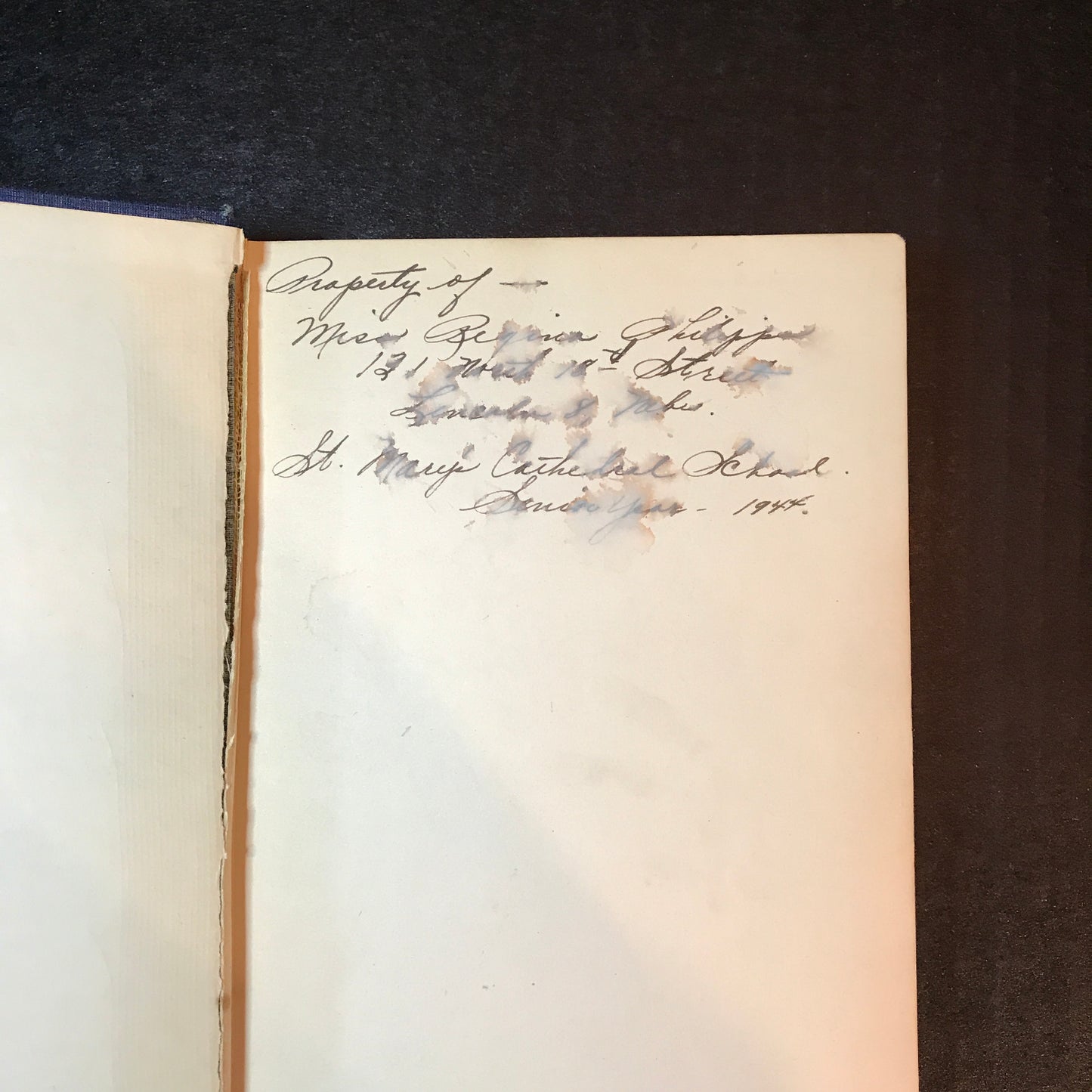 Bernadette of Lourdes - Translated by J. H. Gregory - 1915