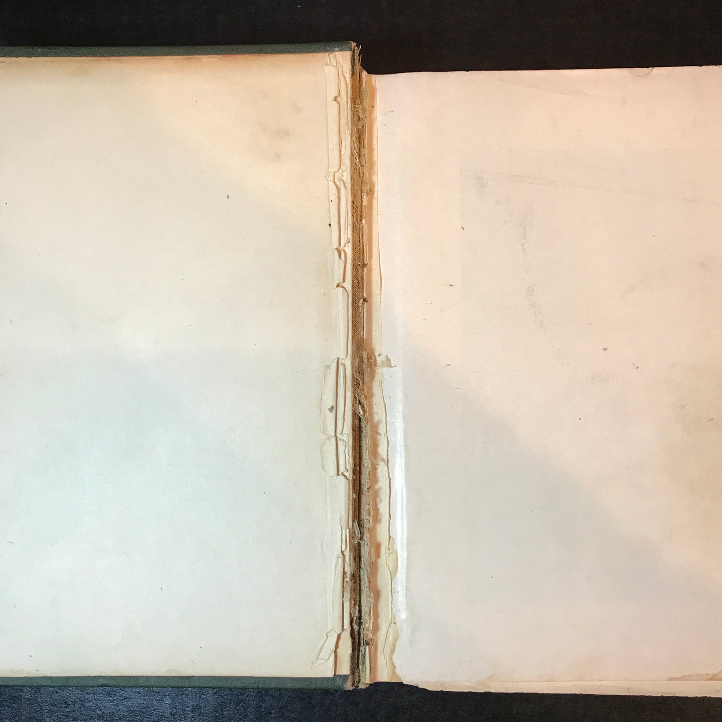 Practical Housekeeping - Buckeye Publishing Company - 1884