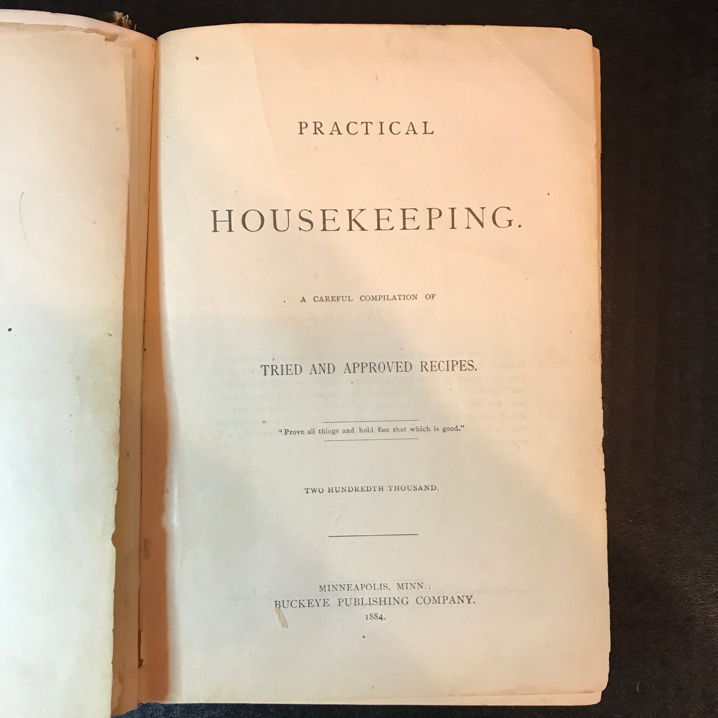 Practical Housekeeping - Buckeye Publishing Company - 1884
