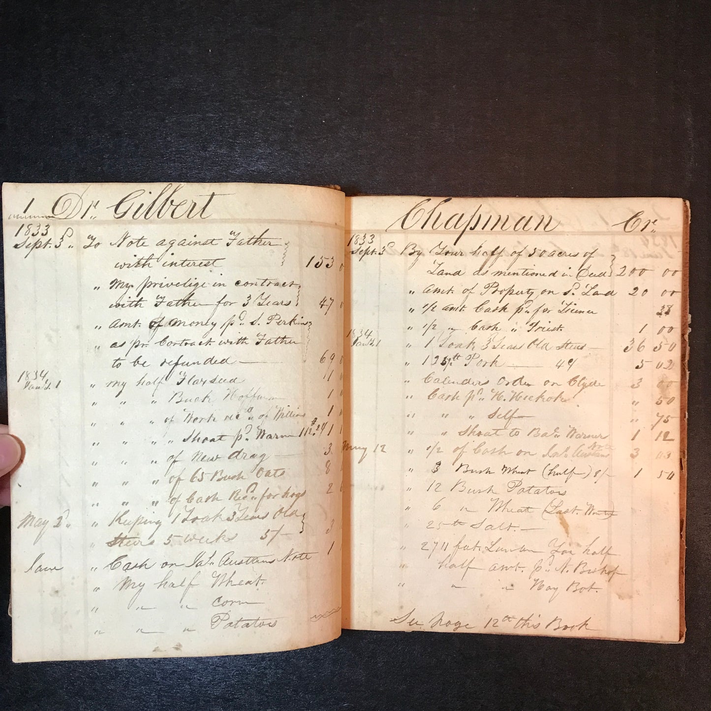 Meigs County, Ohio Journal - c. 1850's