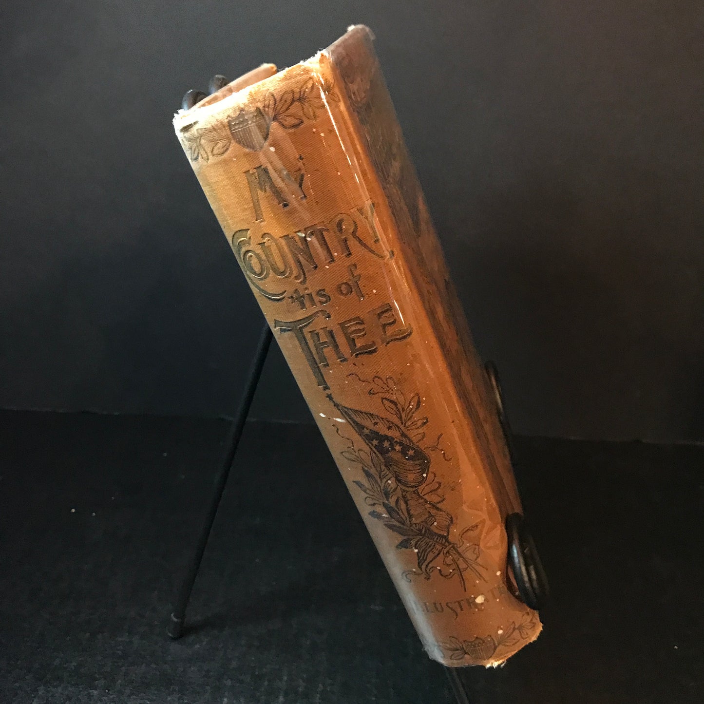 My Country 'Tis of Thee - Willis Fletcher Johnson & John Habberton - World Fair - 1892