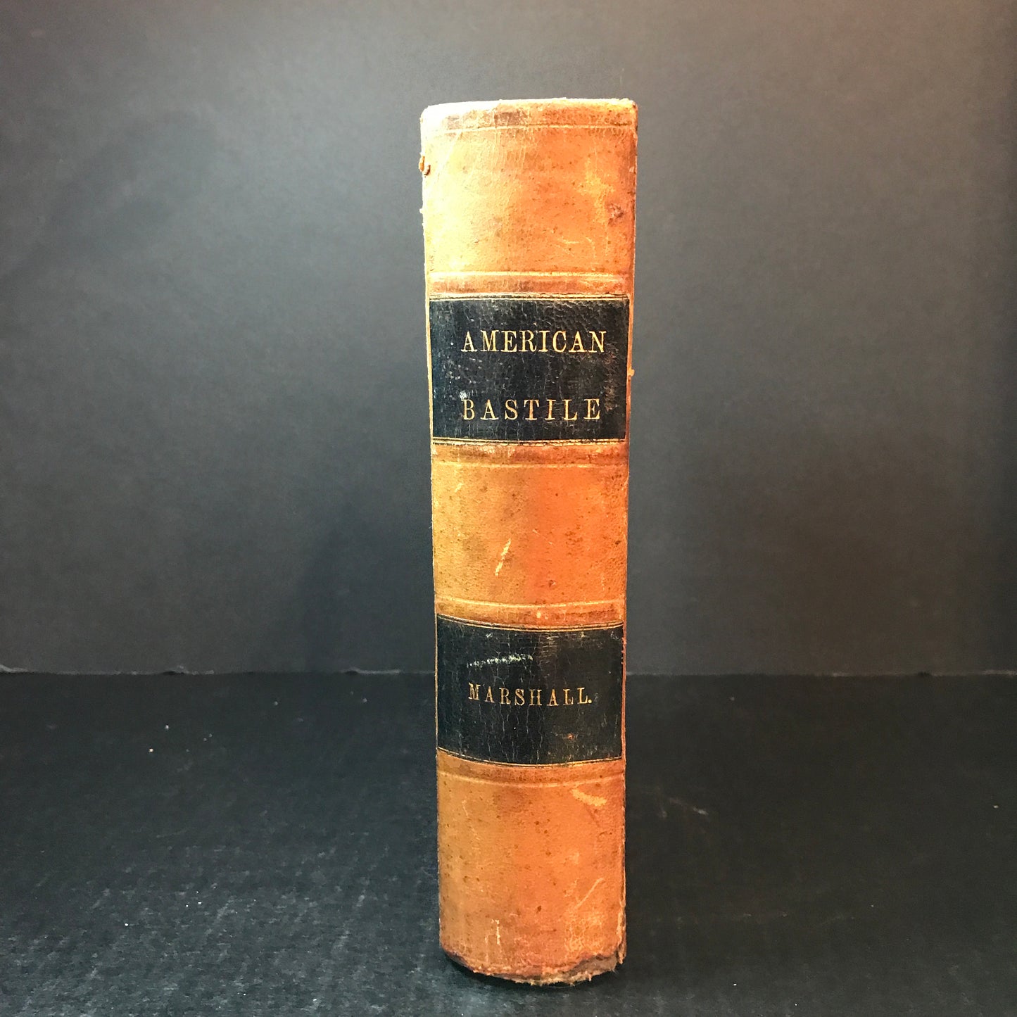 American Bastille - John A. Marshall - Civil War Prison - 1872