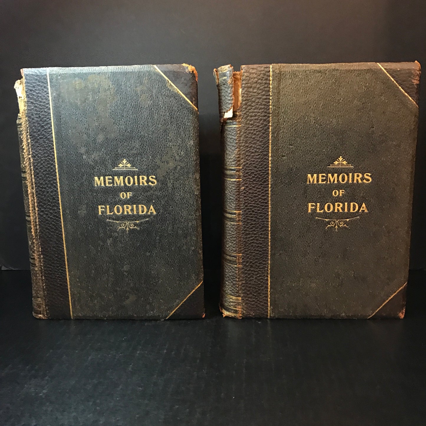 Memoirs of Florida - Rowland H. Rerick - 2 Volumes - 1902