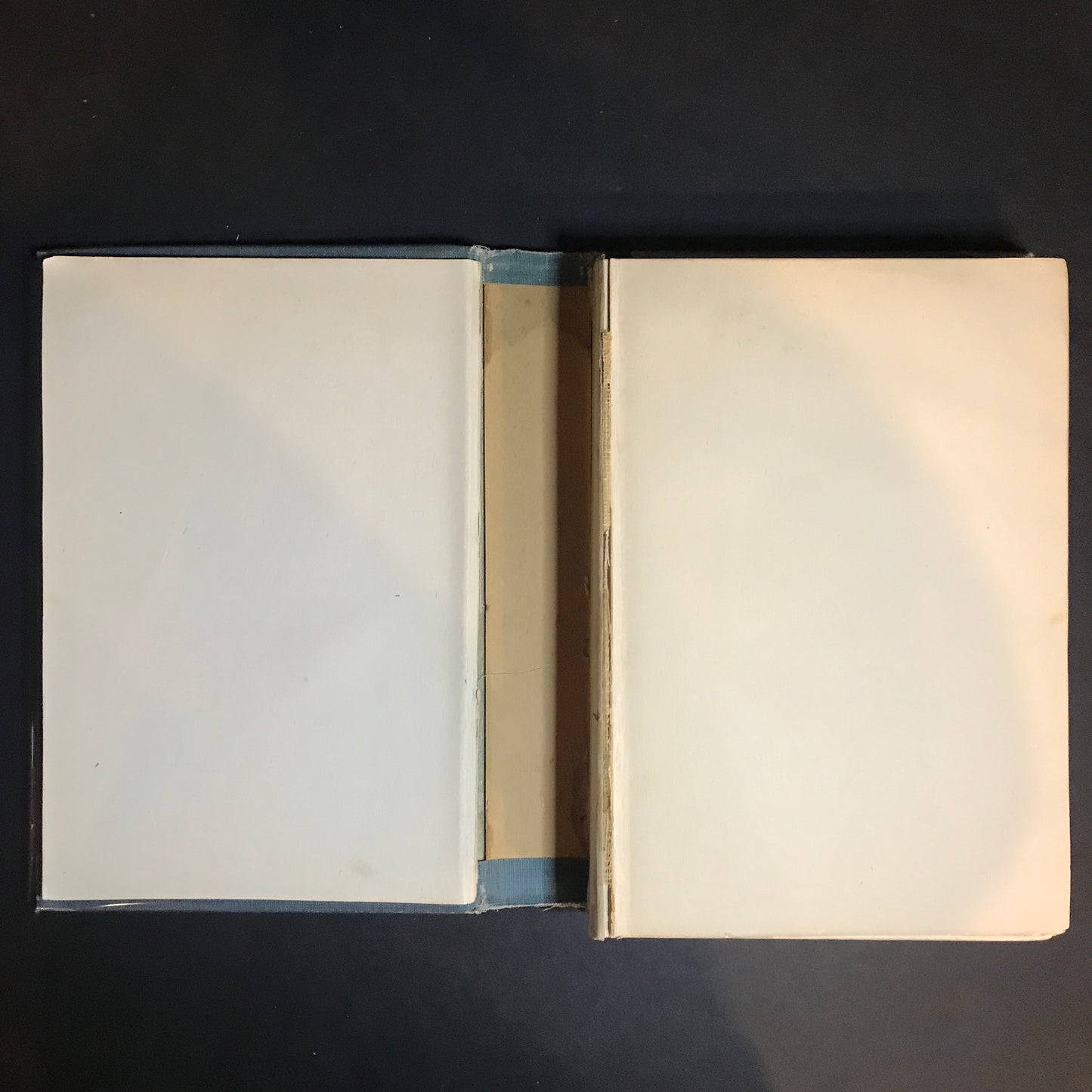 Louisiana and the Fair - J. W. Buel - Volume IV - 1904