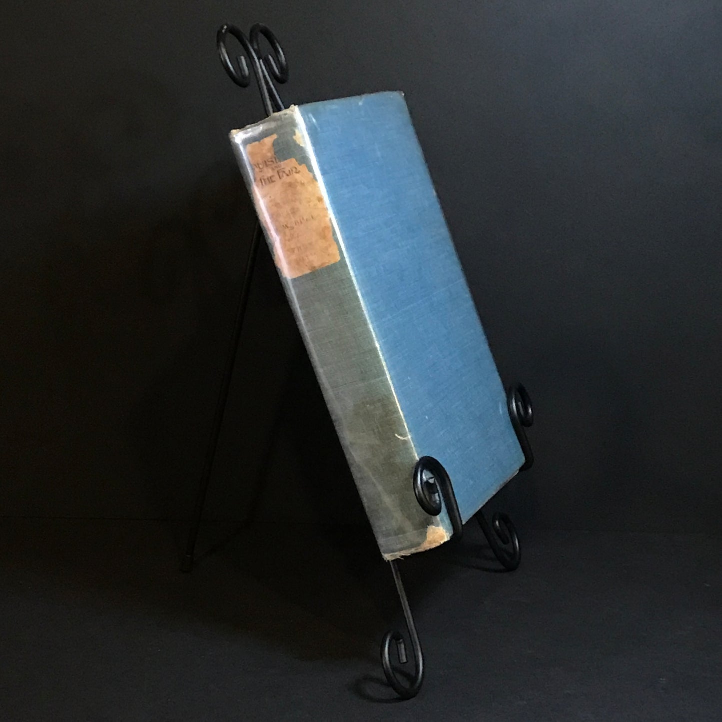 Louisiana and the Fair - J. W. Buel - Volume IV - 1904