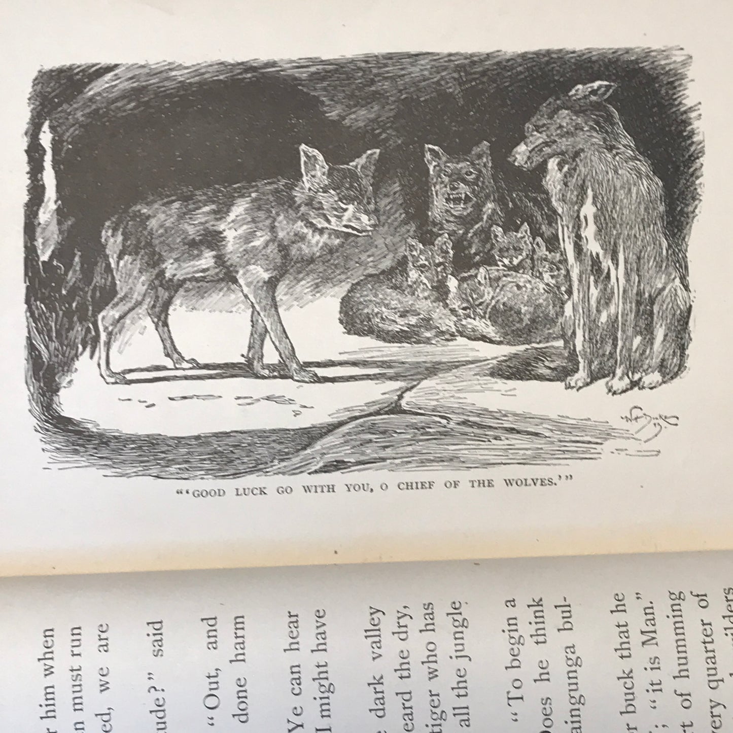 The Jungle Book - Rudyard Kipling - 1906