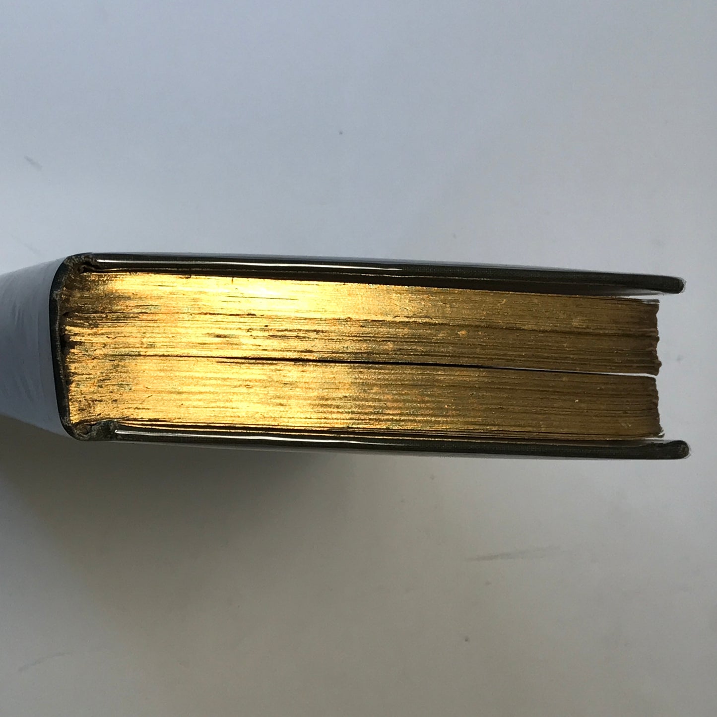 The Second Jungle Book - Rudyard Kipling - 1895 - 1st American Edition - Gilding