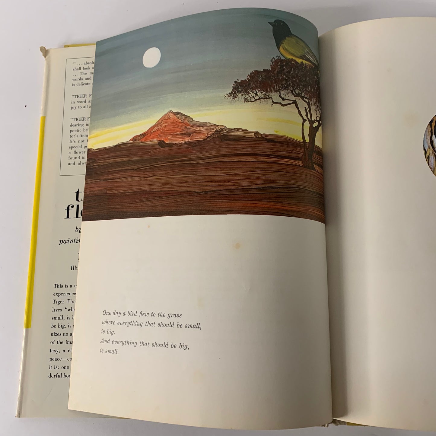Tiger Flower - Robert Vavra - 1968