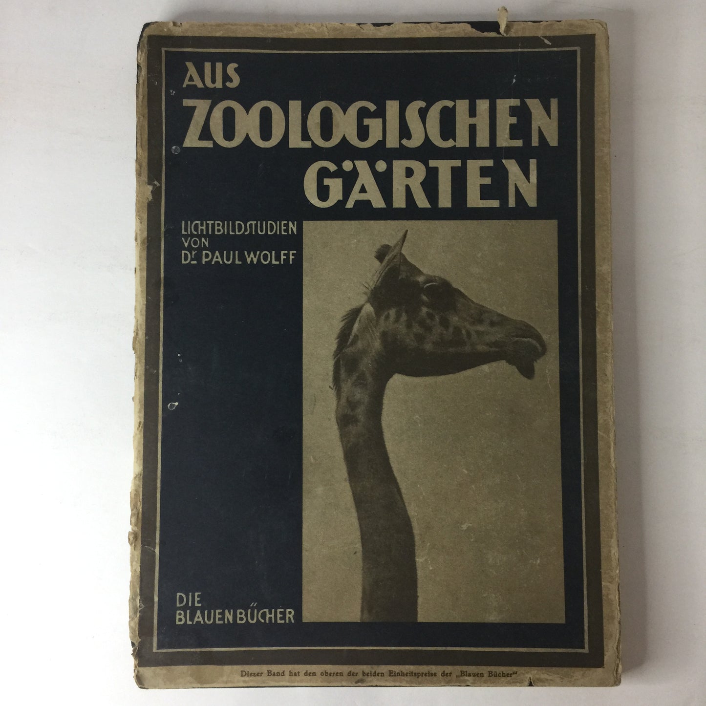 Aus Zoologischen Garten - Paul Wolff - 1929