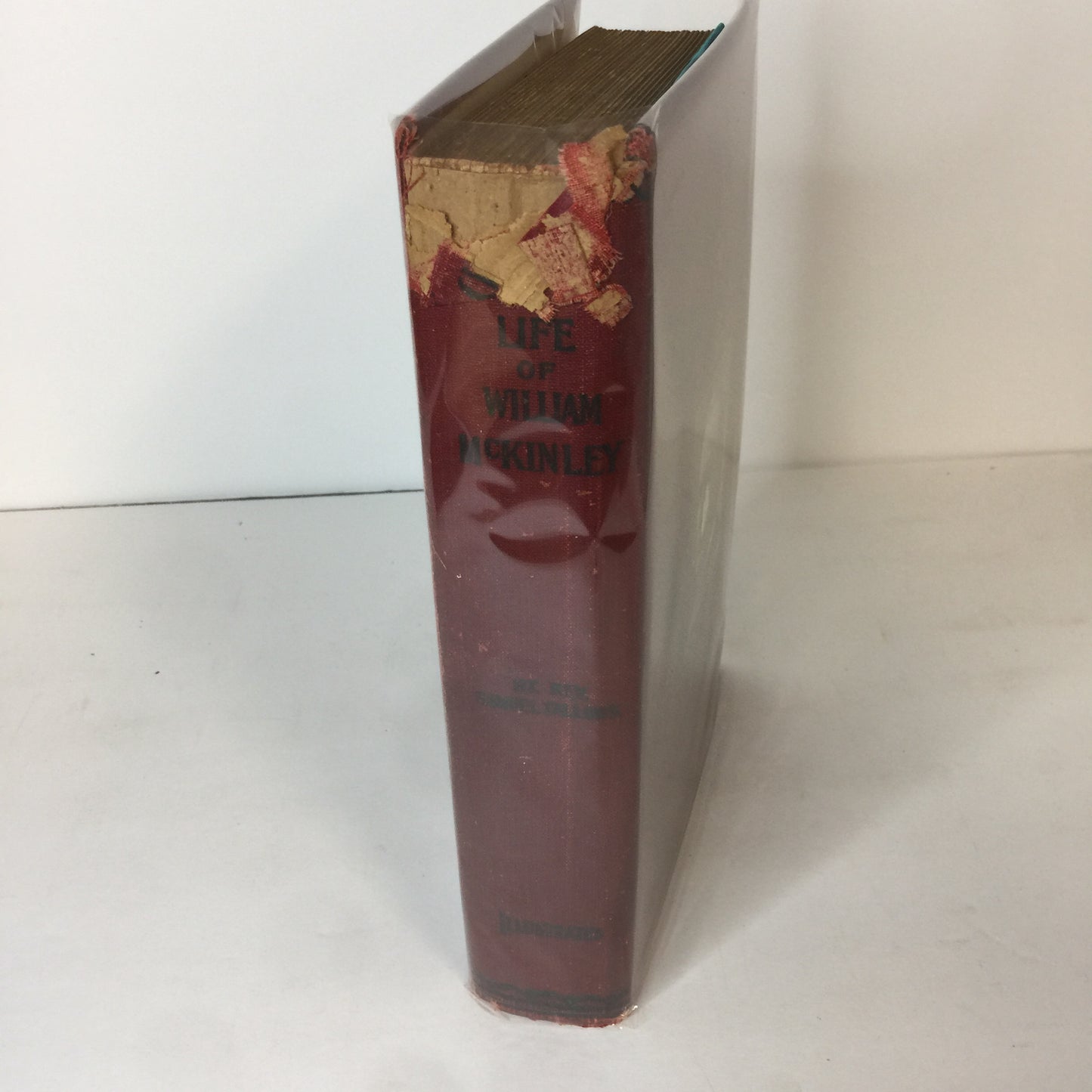 The Life of William McKinley - Samuel Fallows