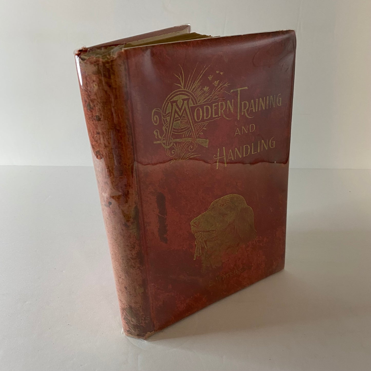 Modern Training and Handling - B. Waters - 1894