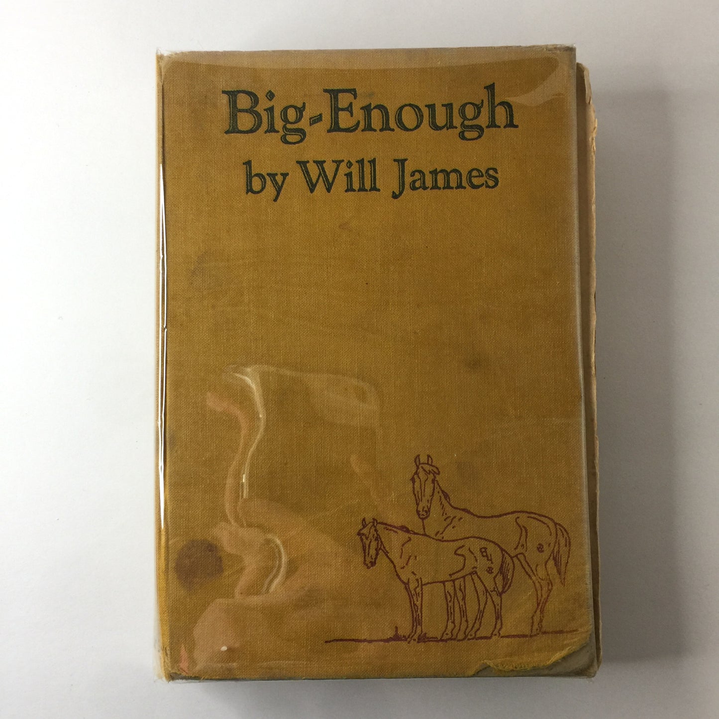 Big-Enough - Will James - 1st Edition, Signed - Will James Collection - 1931