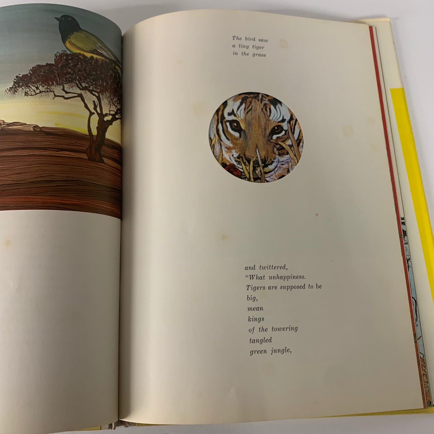 Tiger Flower - Robert Vavra - 1968