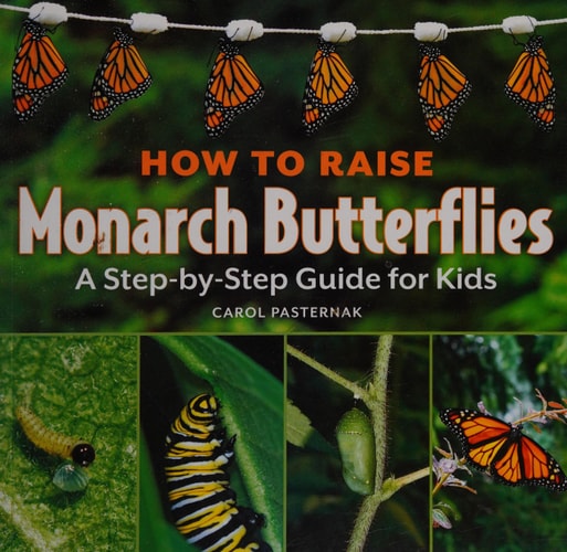 How to Raise Monarch Butterflies A Step-by-step Guide for Kids