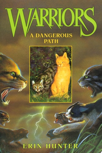 A Dangerous Path (Warriors #5)