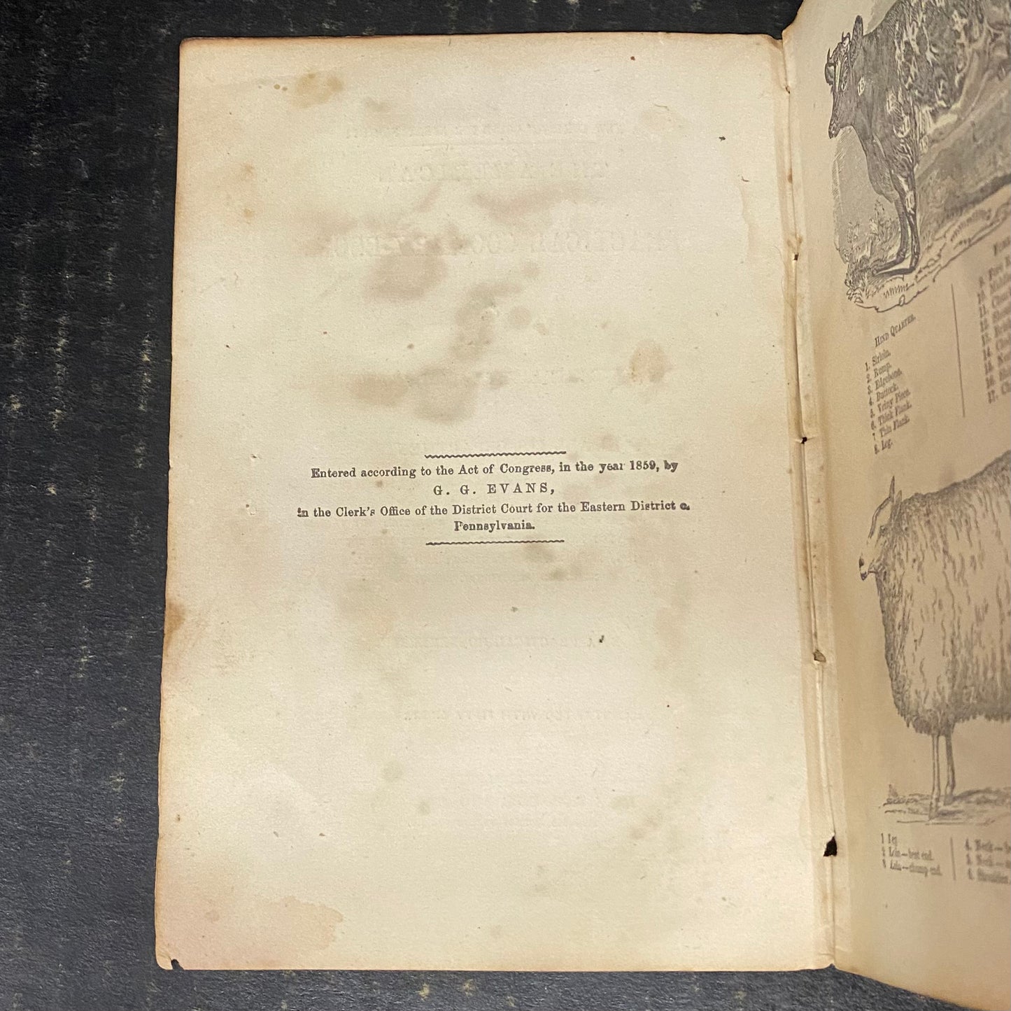 The American Practical Cookery-Book - John E. Potter and Company - 1859
