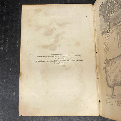 The American Practical Cookery-Book - John E. Potter and Company - 1859