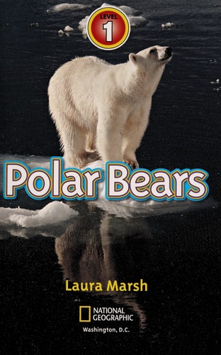 Cutest Animals Collection