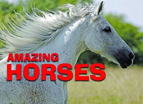 Amazing Horses