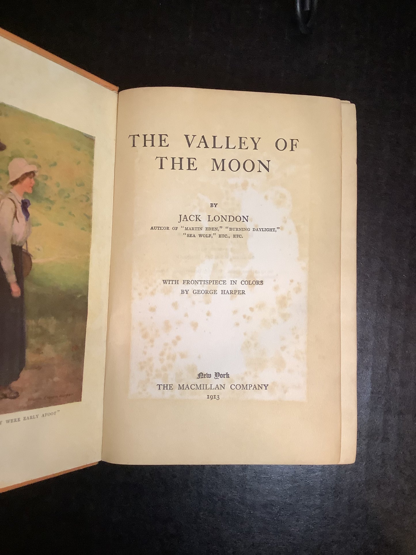 The Valley of the Moon - Jack London - 1st Edition - 1913