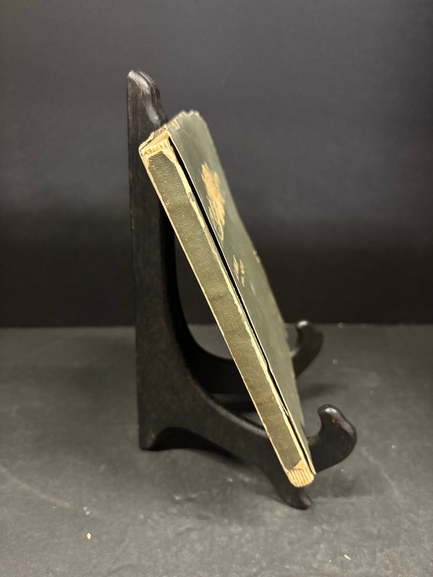 Lake and Sea - Summer Tour Department of the Wabash Railroad Co. - 1900