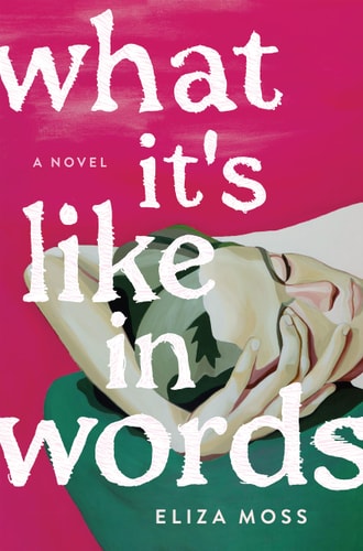 What It's Like in Words A Novel