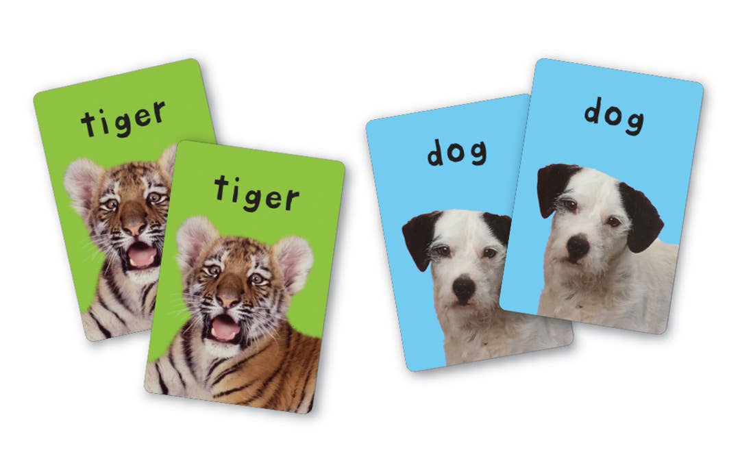 First 100 Animals Matching Card Game